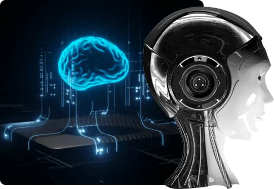 Mobile App Interface