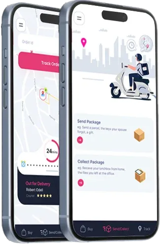 Mobile App Interface