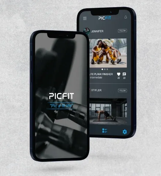 PicFit