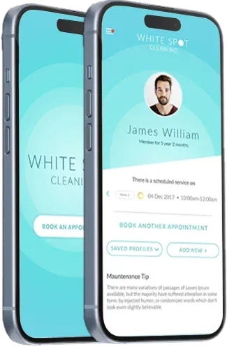 Mobile App Interface